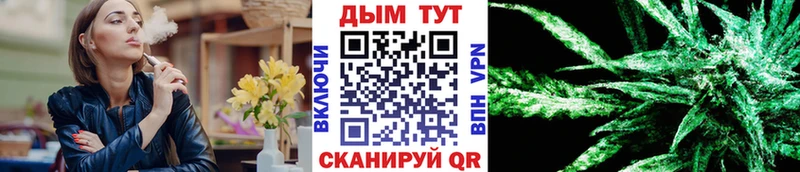Купить закладки  Кириши  МАРИХУАНА THC 21% 